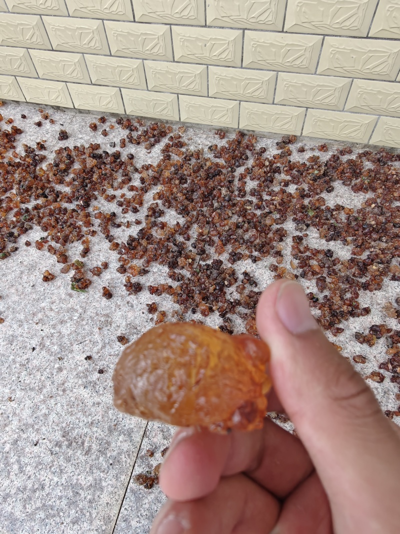 桃胶