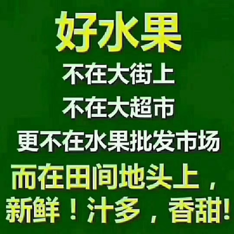 眉县猕猴桃🥝