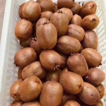 眉县猕猴桃🥝
