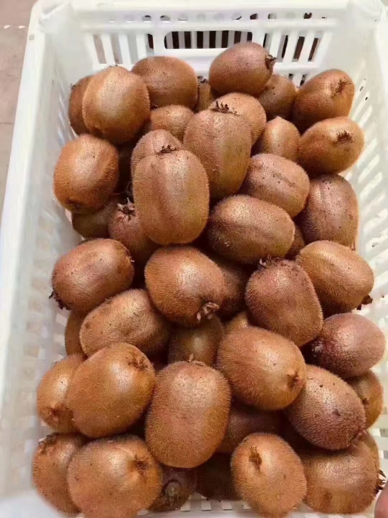 眉县猕猴桃🥝