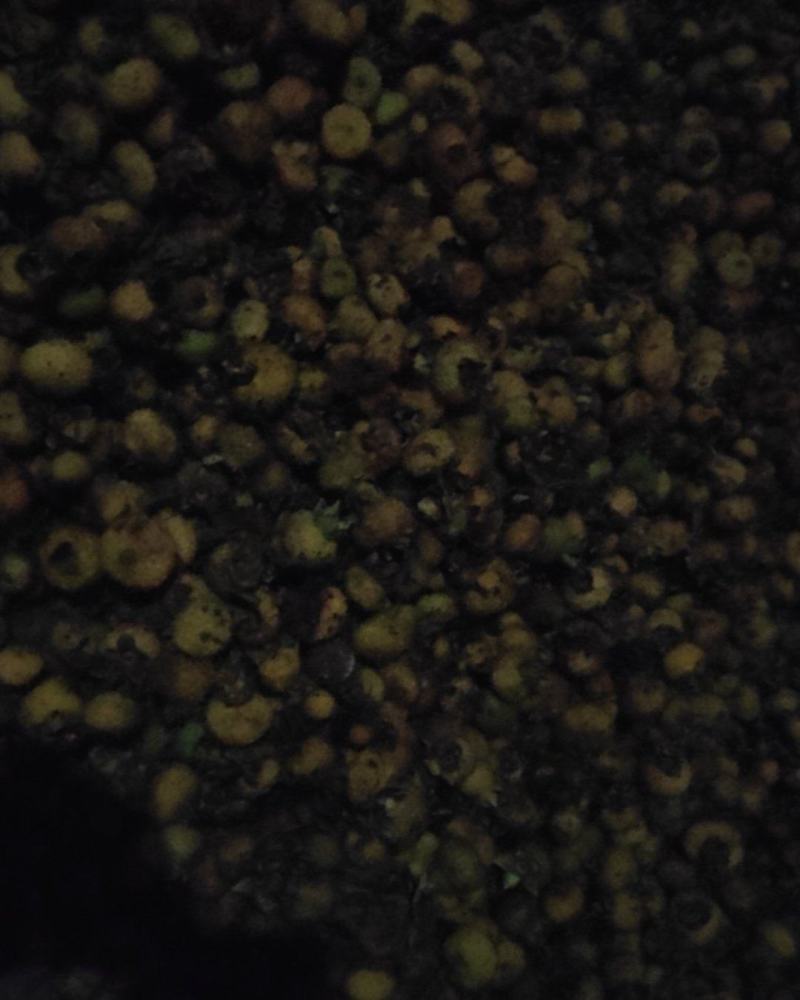 刺梨大小均匀100斤左右