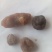 天然鸡宝，可视频看货，线下交易，