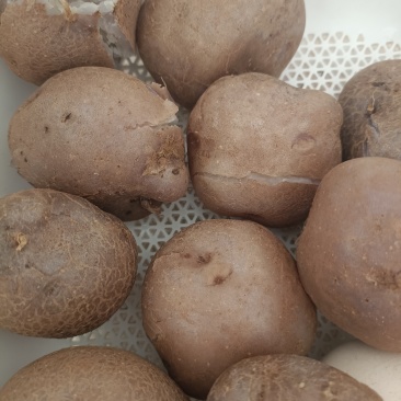 乌洋芋皮薄肉厚，肉质香，口感好，适合煮或者烤着吃