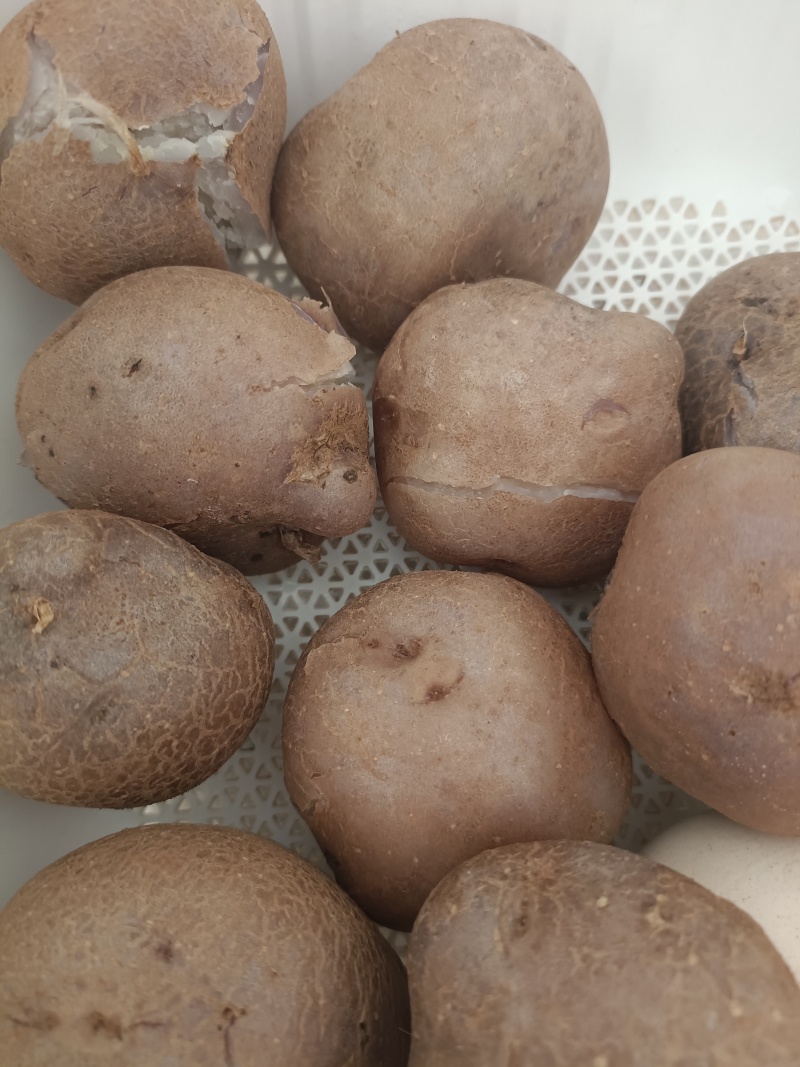 乌洋芋皮薄肉厚，肉质香，口感好，适合煮或者烤着吃