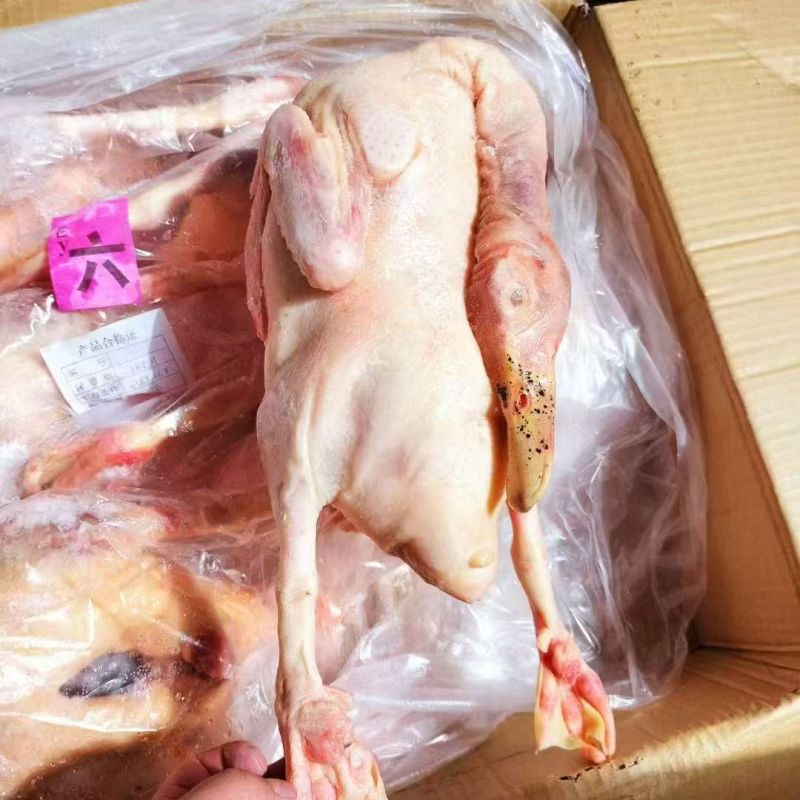 老鸭，品质特别好，价格合适，全新冷冻批发。