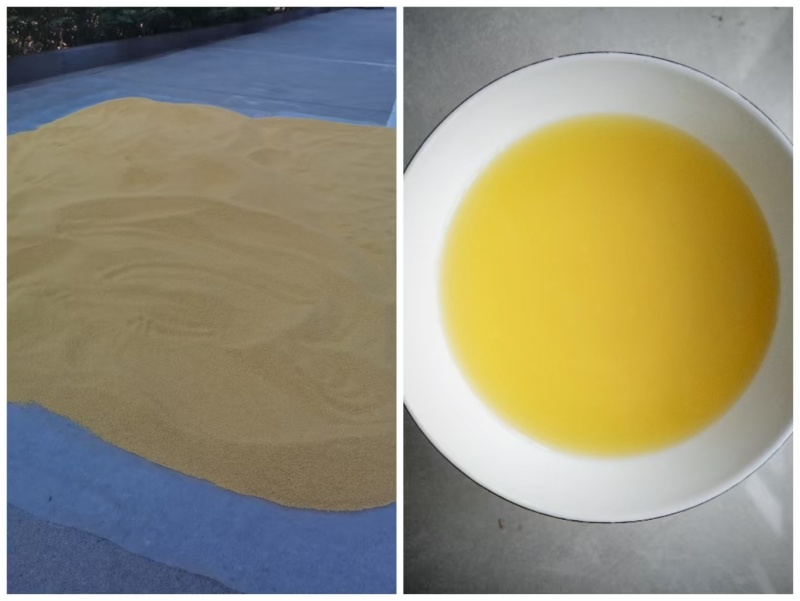 正宗曹范小米