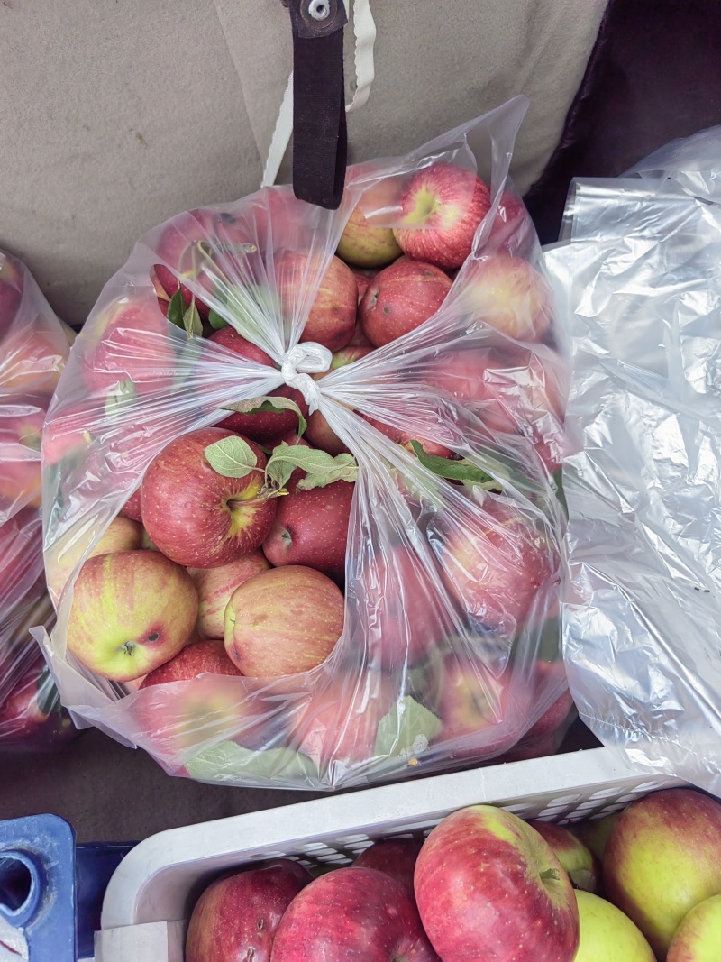 新街苹果🍎