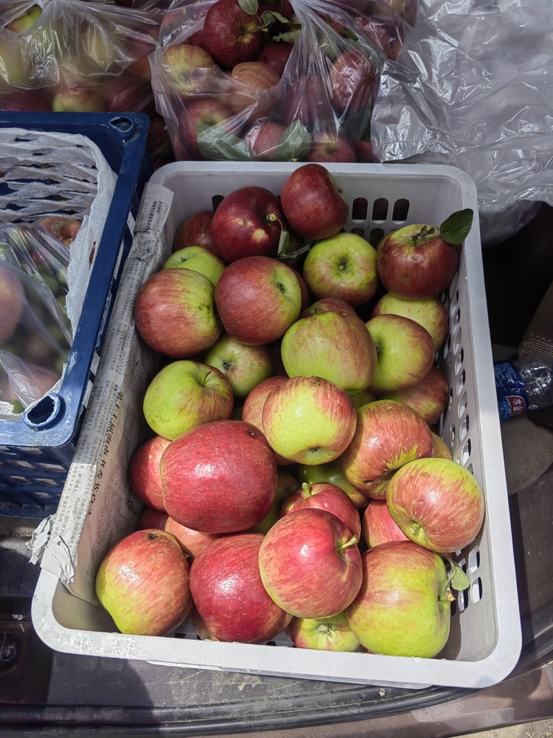 新街苹果🍎