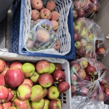 新街苹果🍎