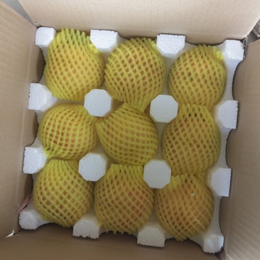 陕西脆桃