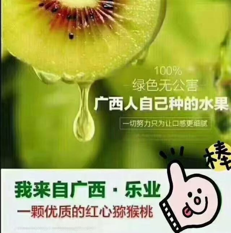 广西乐业猕猴桃