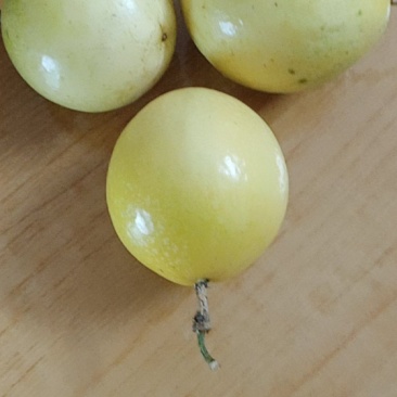 黄金百香果