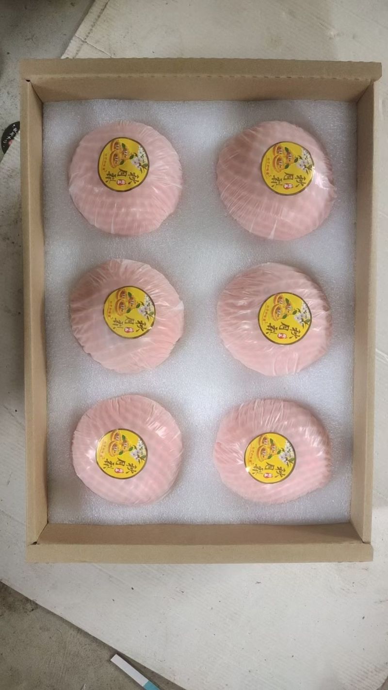 烟台莱阳秋月梨