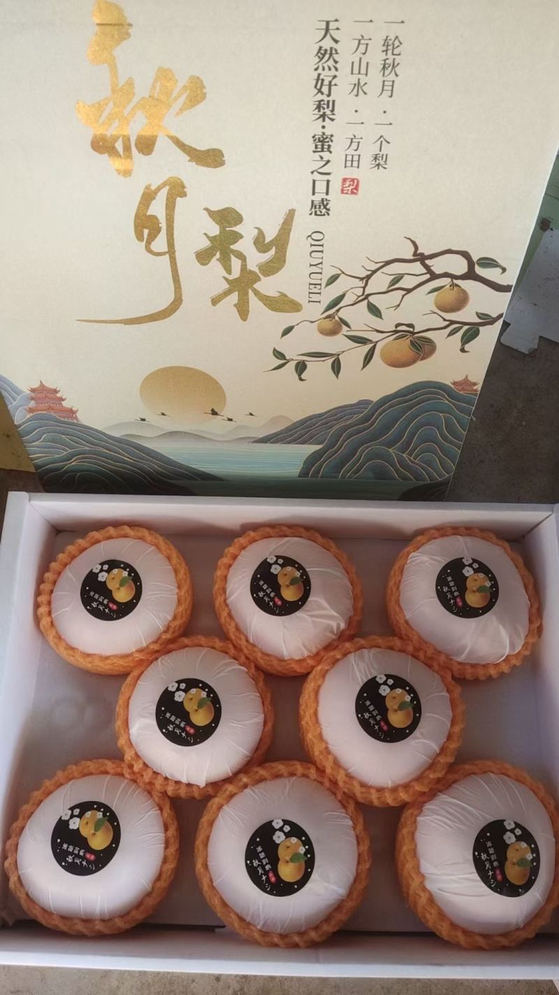 烟台莱阳秋月梨
