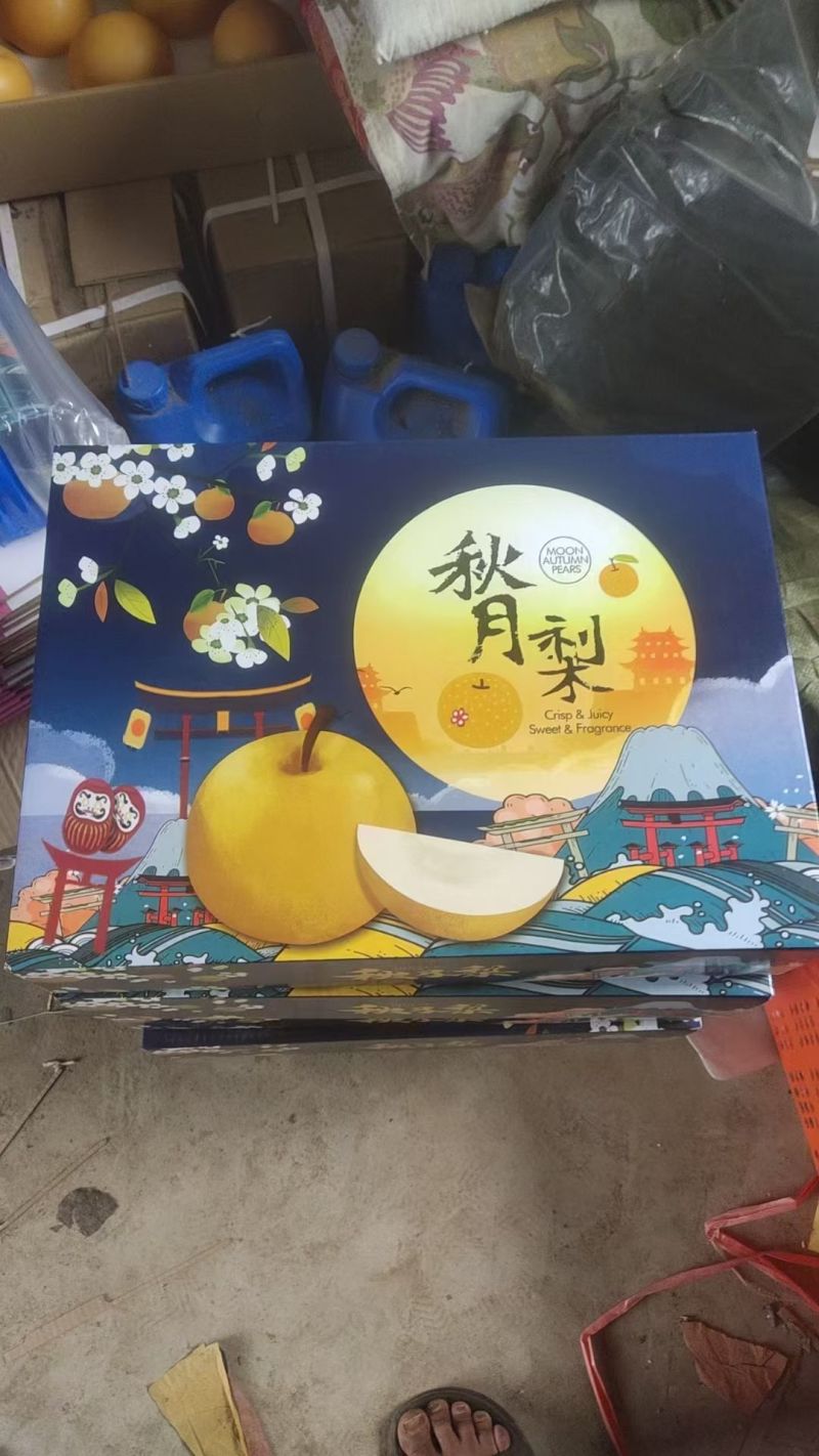 烟台莱阳秋月梨