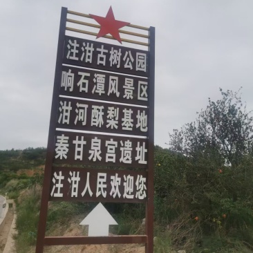 乾县泔河酥梨，只做精品