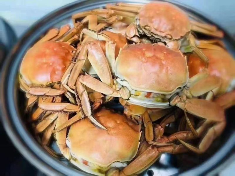 江蟹2母三公起上限为当天起出多大