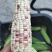 粘玉米大花小花