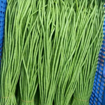 江豆