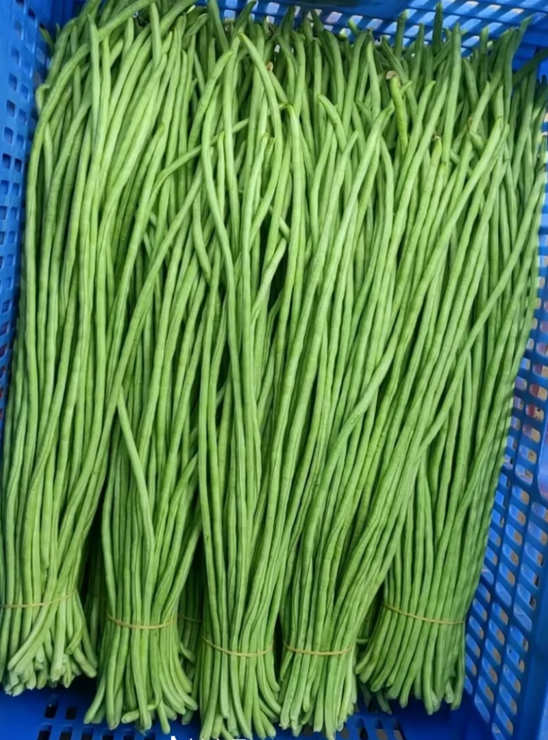 江豆