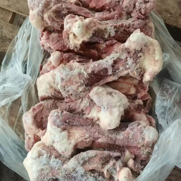 母猪后棒骨一吨货，25年的。
