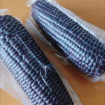 包装后鲜食黑糯玉米