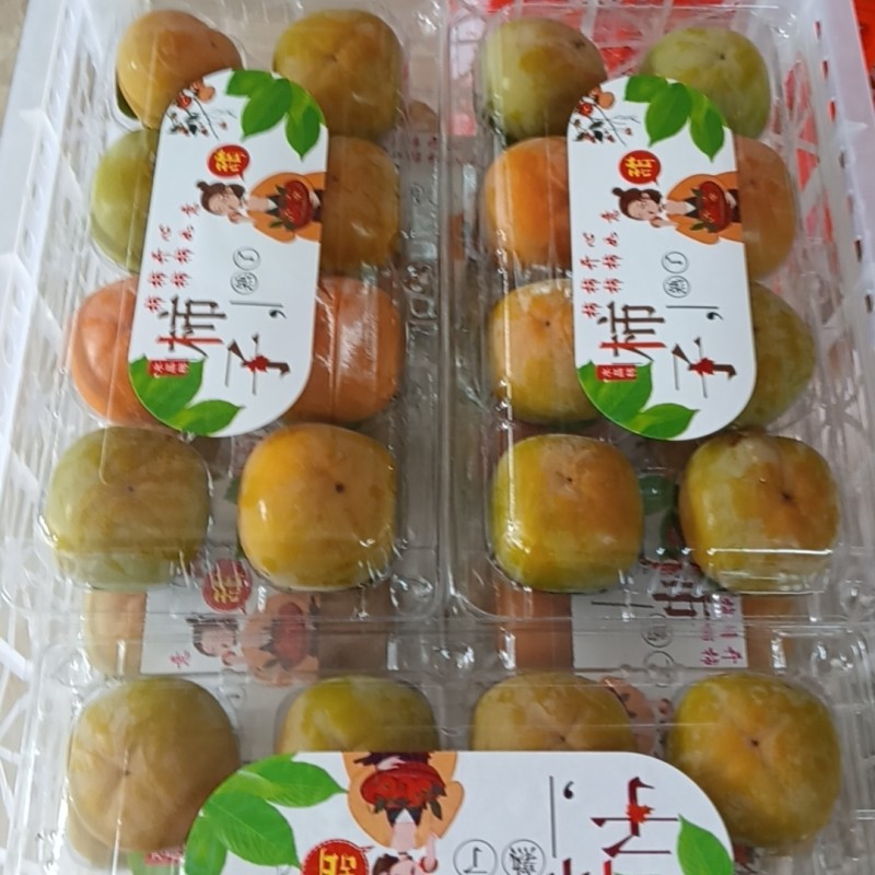 柿子