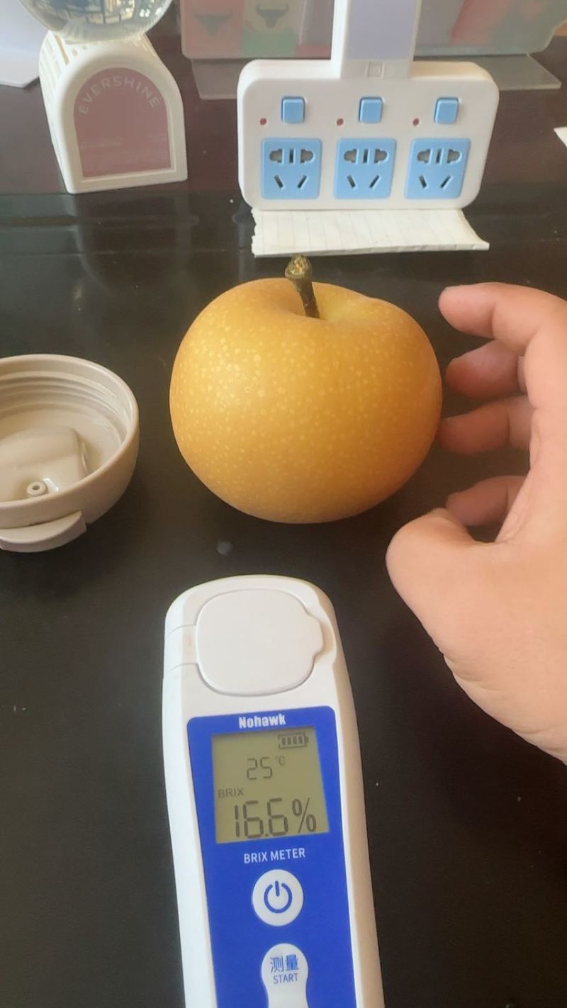 秋月梨大量接单***********