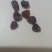 黑糯玉米粒干活
