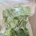 新鲜桑芽菜