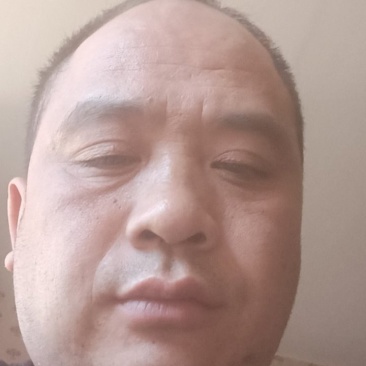 野胡萝卜，又名蛇床子根