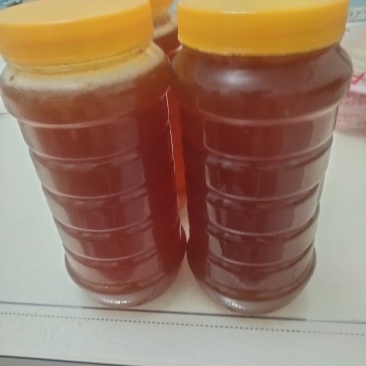 土蜂蜜