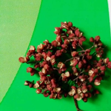 花椒