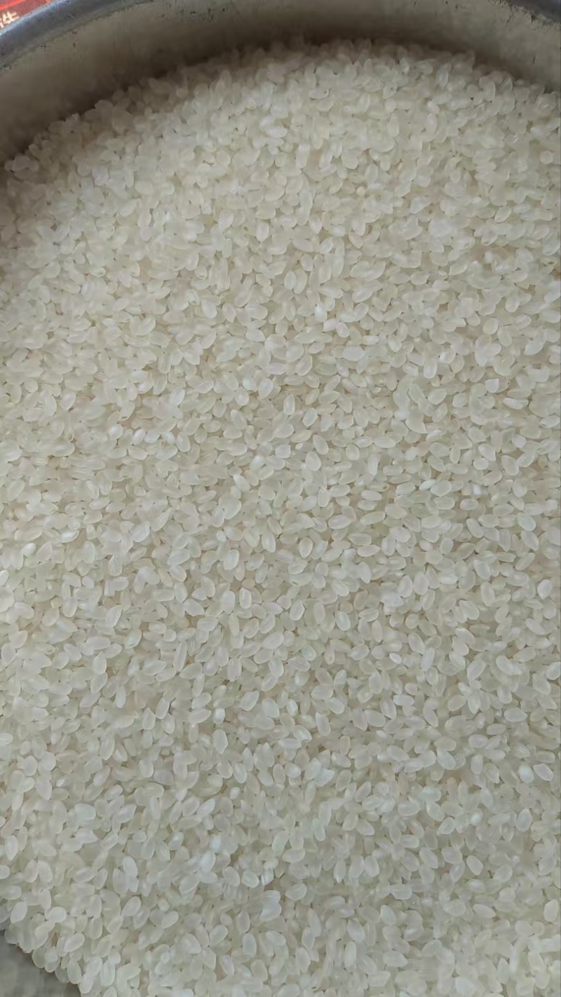 珍珠米