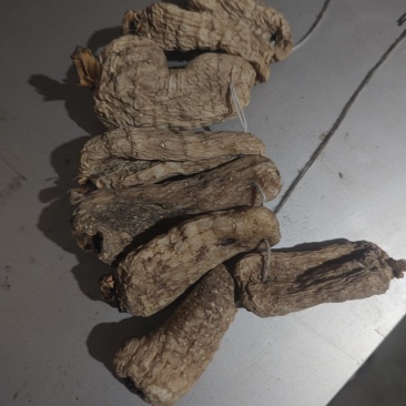 纯野生干天麻