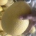 金色年华西周蜜黄八六子鼎蜜，二瓜，大量供应。