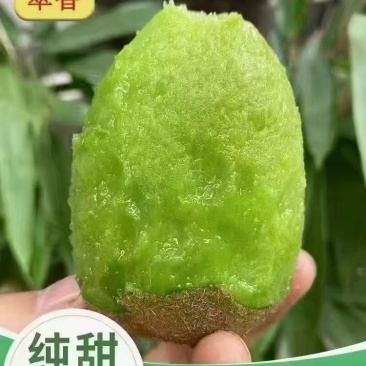 陕西周至翠香猕胡桃