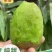 陕西周至翠香猕胡桃