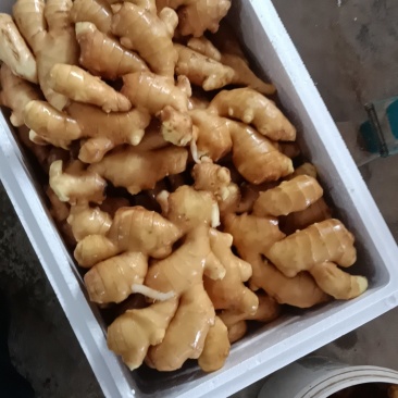 生姜沂蒙蔬菜购销