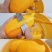 云南鹰嘴芒
