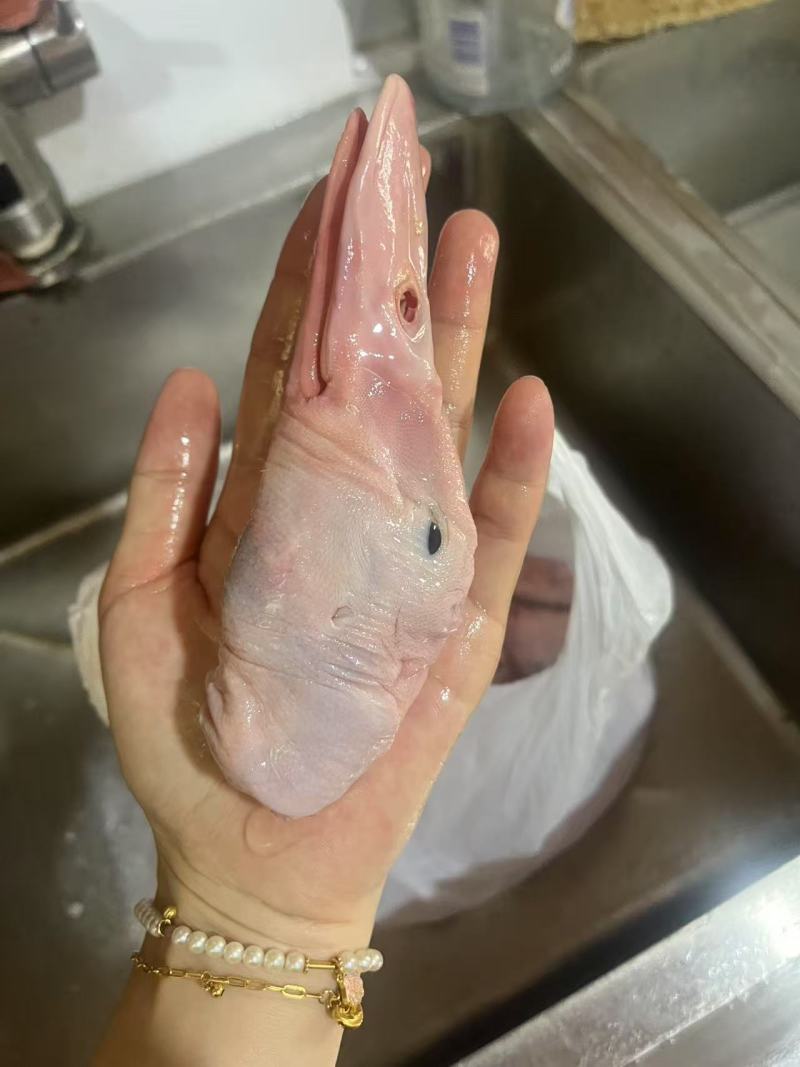 鸭头10-11，卤味专用，便宜好用，一块多一个，全国包邮。