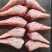 鸭头10-11，卤味专用，便宜好用，一块多一个，全国包邮。