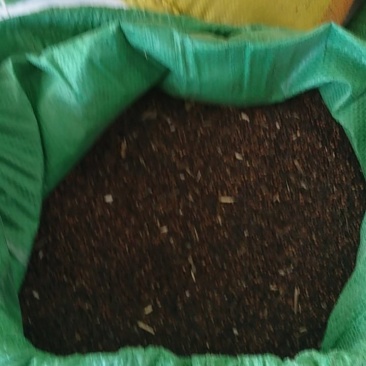 没打催熟剂的自产油菜籽