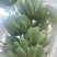 想卖苹果蕉
