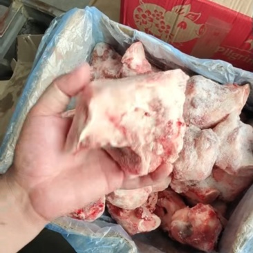 猪棒骨，前腿骨，带肉新鲜