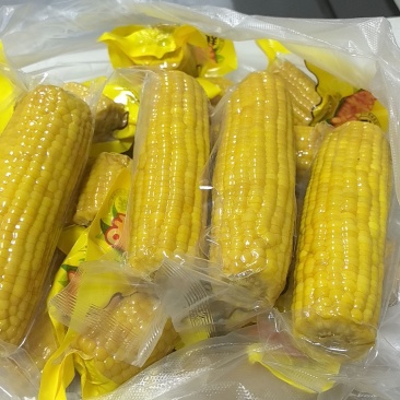 水果玉米，品种奥夫兰有青棒有加工好的成品