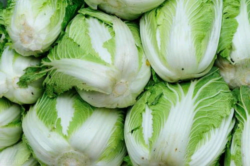 大白菜。。。。