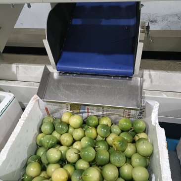 百香果电商全规格单规市场果次果挖浆果鲜挖果酱