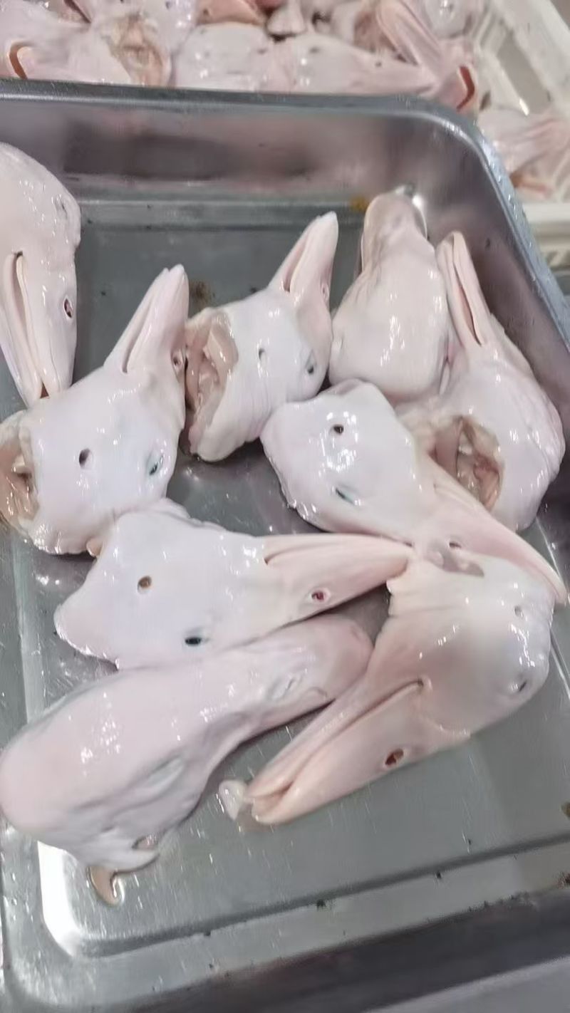 二级鸭头有货，需要的速度联系