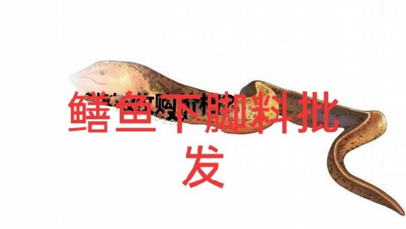 鳝鱼类下脚料